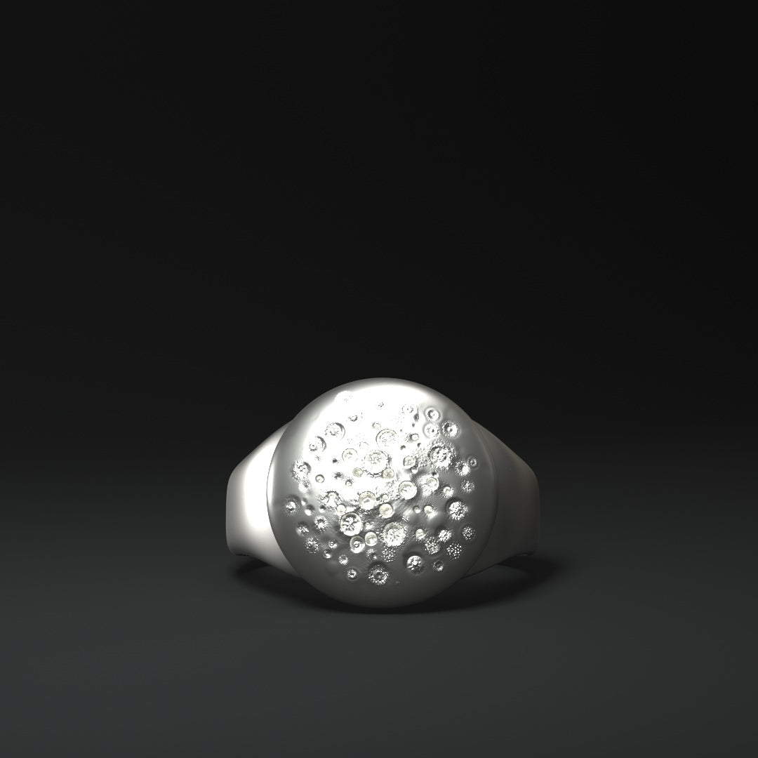 Signet ring silver round "crater_field"