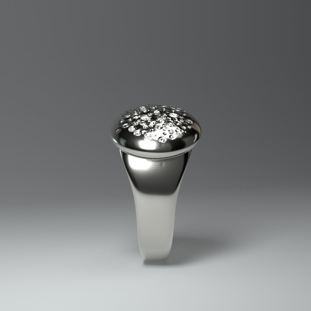 Signet ring silver round "crater_field"