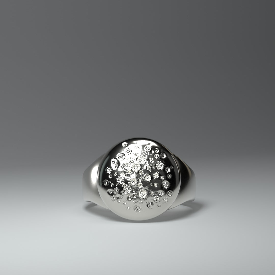 Signet ring silver round "crater_field"