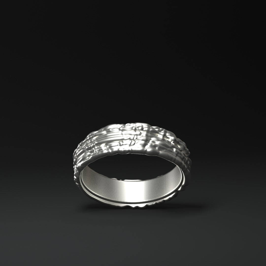 Bague en argent "sentiers bruyants"