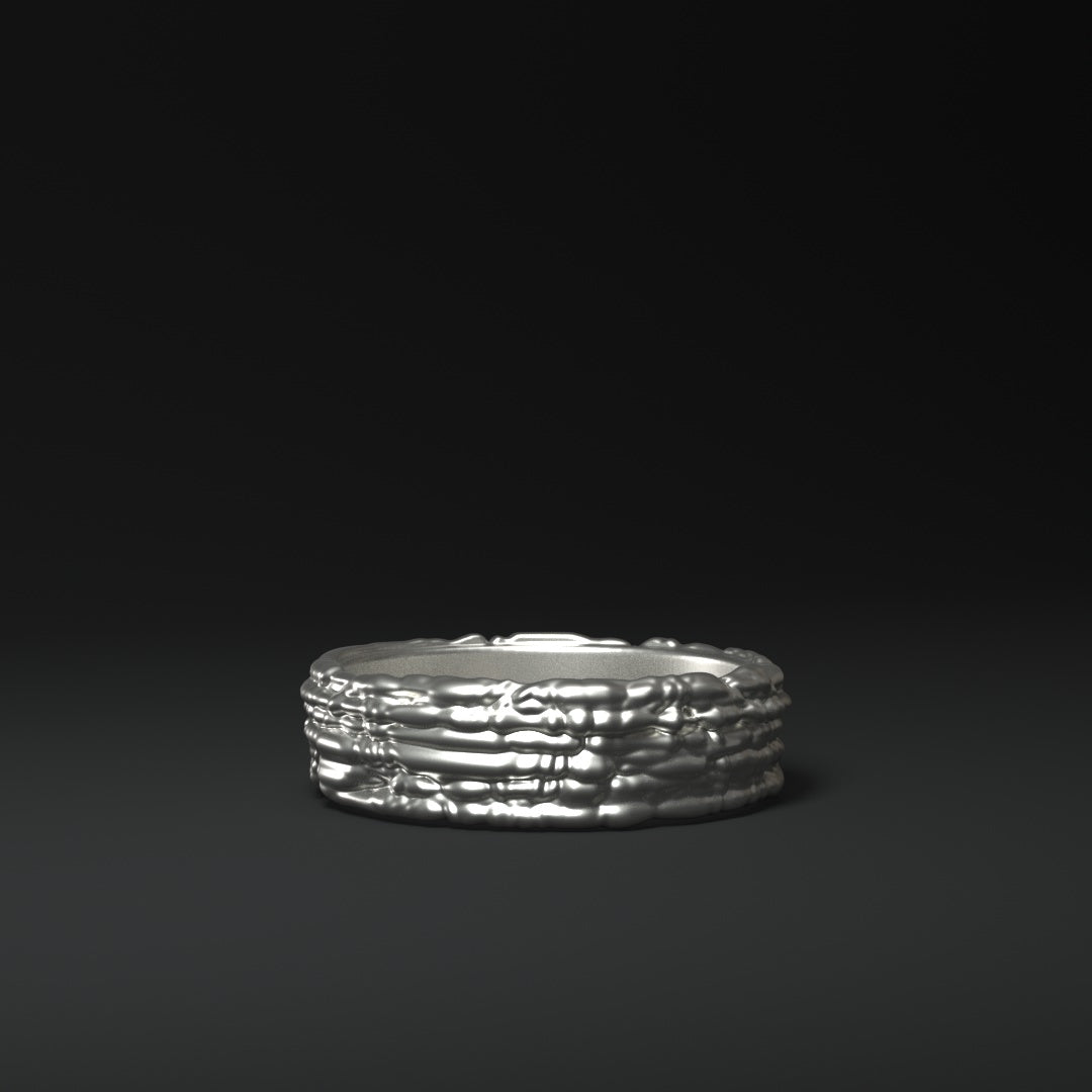 Bague en argent "sentiers bruyants"