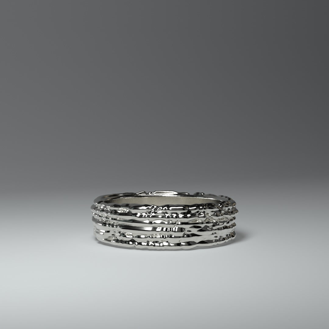 Bague en argent "sentiers bruyants"