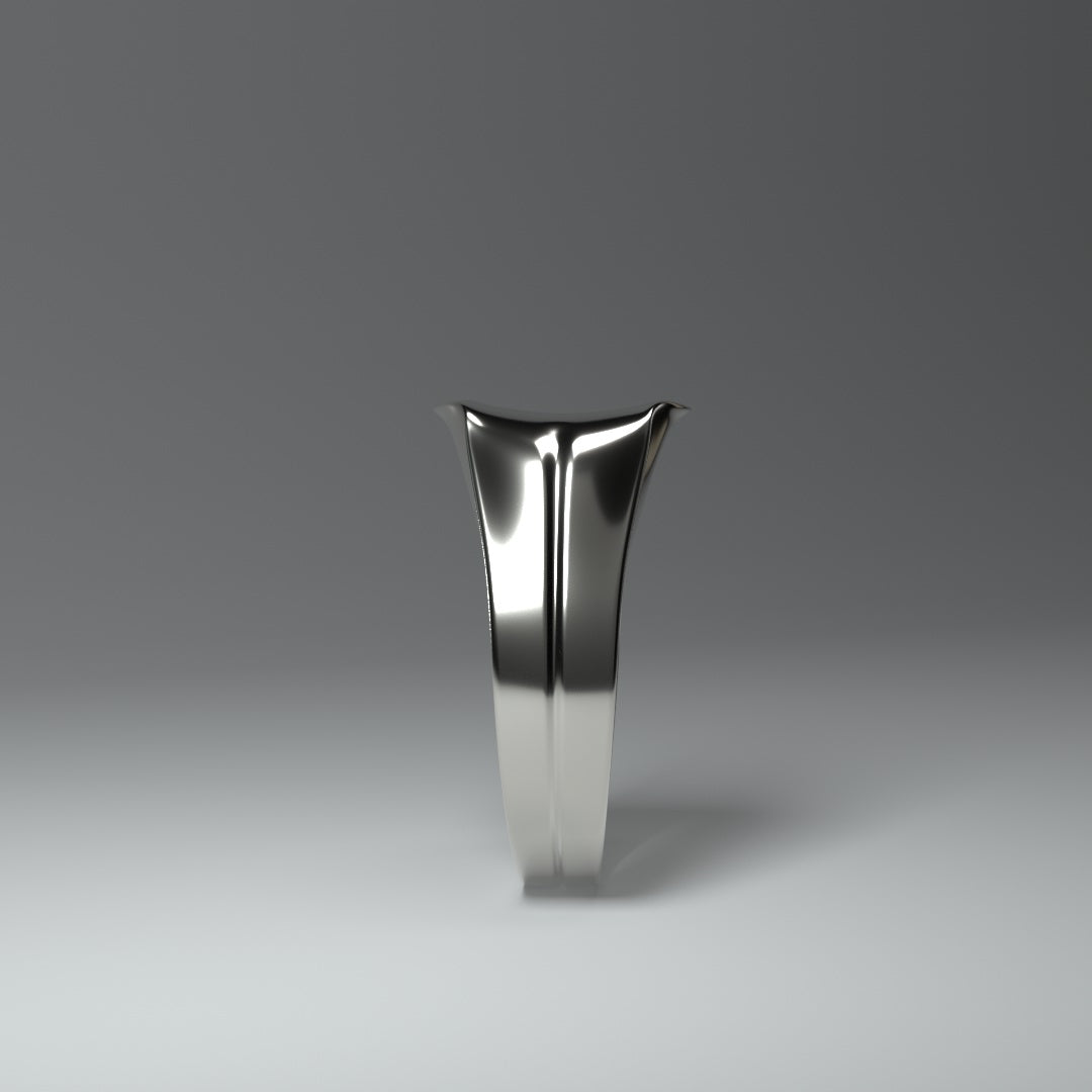 ring silver "slick"